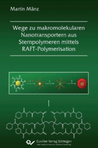 Könyv Wege zu makromolekularen Nanotransportern aus Sternpolymeren mittels RAFT-Polymerisation Martin Mänz