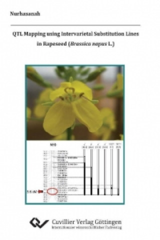 Kniha QTL Mapping using Intervarietal Substitution Lines in Rapeseed (Brassica napus L.) Nurhanasah