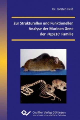 Kniha Zur Strukturellen und Funktionellen Analyse der Murinen Gene der Hsp110 Familie Torsten Held