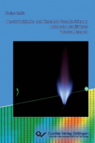 Kniha Geschwindigkeits- und Skalarfeld-Charakterisierung turbulenter stratifizierter Vormischflammen Florian Seffrin