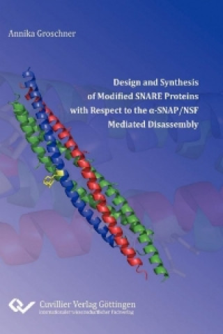 Buch Design and Synthesis of Modified SNARE Proteins with Respect to the ??SNAP/NSF Mediated Disassembly Annika Groschner