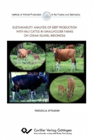 Buch Sustainability analysis of beef production with Bali cattle in smallholder farms on Ceram Island, Indonesia Faradilla Attamimi