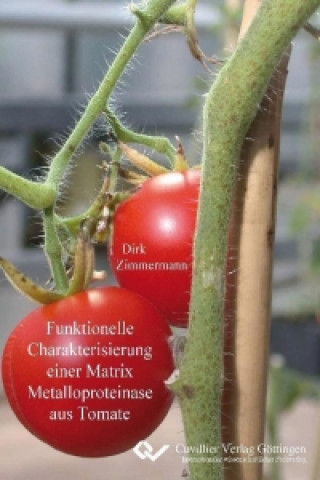 Kniha Funktionelle Charakterisierung einer Matrix Metalloproteinase aus Tomate Dirk Zimmermann