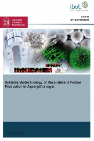 Kniha Systems Biotechnology of Recombinant Protein Production in Aspergillus niger Habib Driouch