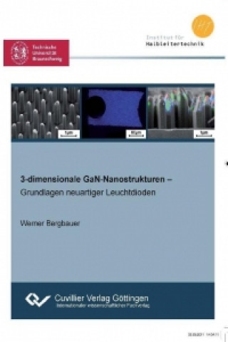 Könyv 3-dimensionale GaN-Nanostrukturen - Grundlagen neuartiger Leuchtdioden - Werner Bergbauer