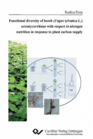 Carte Functional diversity of beech (Fagus sylvatica L.) ectomycorrhizas with respect to nitrogen nutrition in response to plant carbon supply Rodica Pena