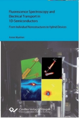 Knjiga Fluorescence Spectroscopy and Electrical Transport in 1D-Semiconductors. From Individual Nanostructures to Hybrid Devices Anton Myalitsin