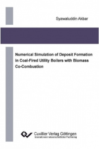 Carte Numerical Simulation of Deposit Formation in Coal-Fired Utility Boilers with Biomass Co-Combustion Syawaluddin Akbar