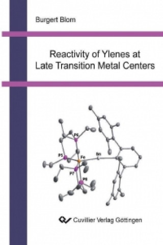 Buch Reactivity of Ylenes at Late Transition Metal Centers Burgert Blom