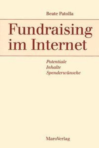 Könyv Fundraising im Internet Beate Patolla