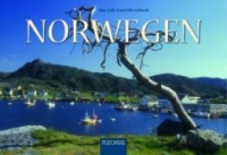 Buch Panorama Norwegen Ernst-Otto Luthardt