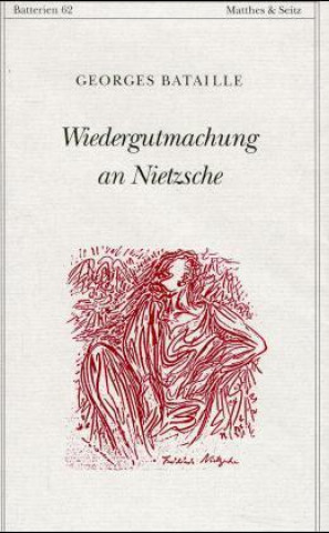Kniha Wiedergutmachung an Nietzsche Gerd Bergfleth