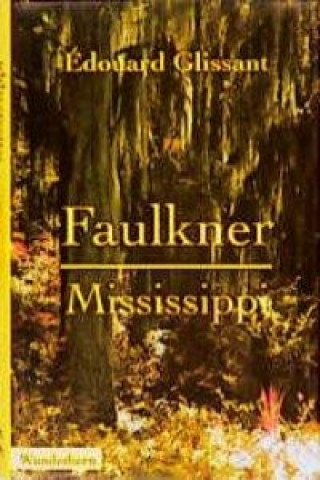 Kniha Faulkner, Mississippi Beate Thill