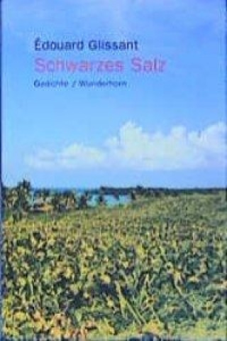 Kniha Schwarzes Salz Beate Thill