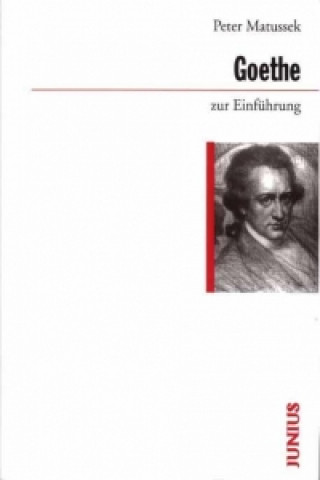 Kniha Goethe zur Einführung Peter Matussek