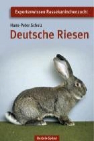 Könyv Deutsche Riesen Hans-Peter Scholz