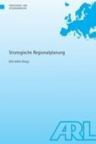 Kniha Strategische Regionalplanung Dirk Vallée