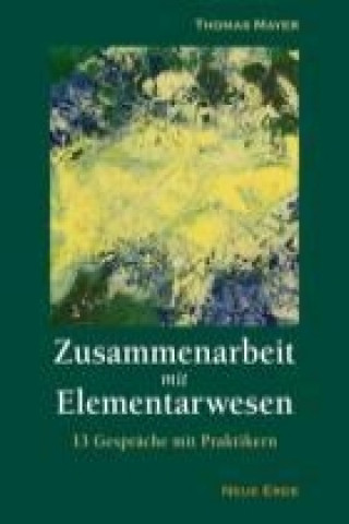 Kniha Zusammenarbeit mit Elementarwesen Thomas Mayer