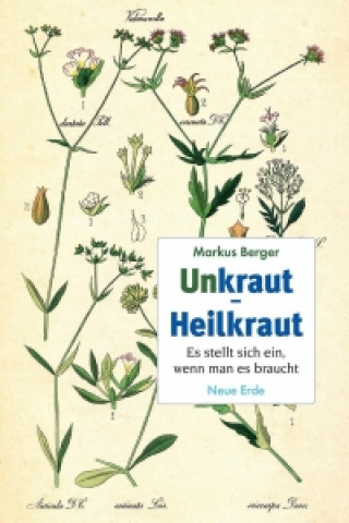 Kniha Unkraut - Heilkraut Markus Berger