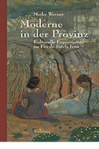 Buch Moderne in der Provinz Meike G. Werner