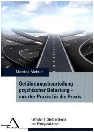 Kniha Gefährdungsbeurteilung psychischer Belastung - aus der Praxis für die Praxis Martina Molnar