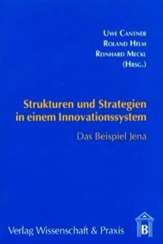 Kniha Strukturen und Strategien in einem Innovationssystem Roland Helm