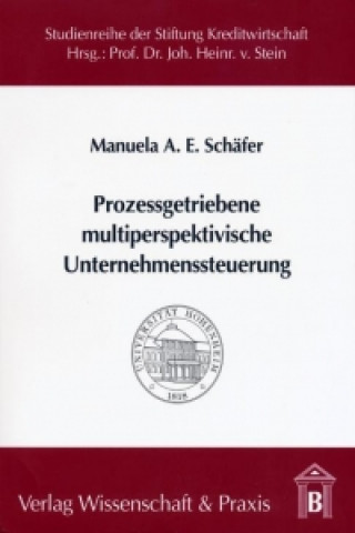 Livre Prozessgetriebene multiperspektivische Unternehmenssteuerung Manuela A Schäfer