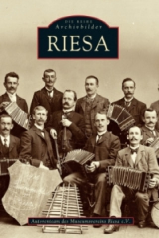 Книга Riesa Autorenteam des Museumsvereins Riesa e. V.