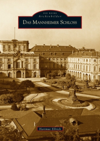 Kniha Das Mannheimer Schloss Hartmut Ellrich