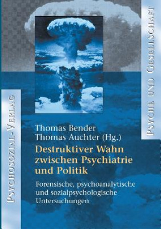 Kniha Destruktiver Wahn zwischen Psychiatrie und Politik Thomas Bender