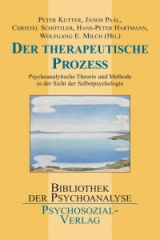 Boek Der therapeutische Prozess Peter Kutter