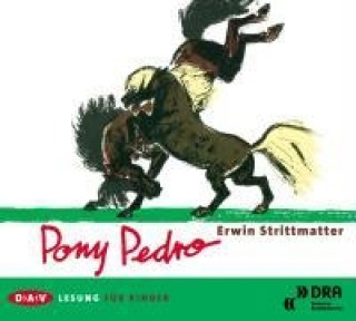 Audio Pony Pedro Erwin Strittmatter