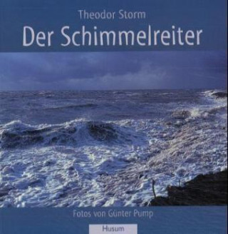 Book Der Schimmelreiter Theodor Storm