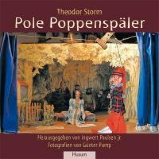 Buch Pole Poppenspäler Theodor Storm