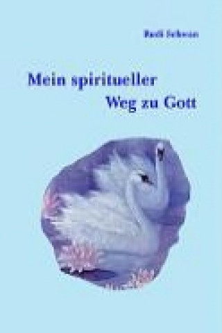 Könyv Mein spiritueller Weg zu Gott Rudi Schwan