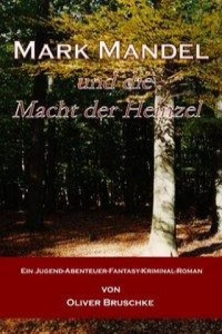 Kniha Mark Mandel und die Macht der Heinzel Oliver Bruschke
