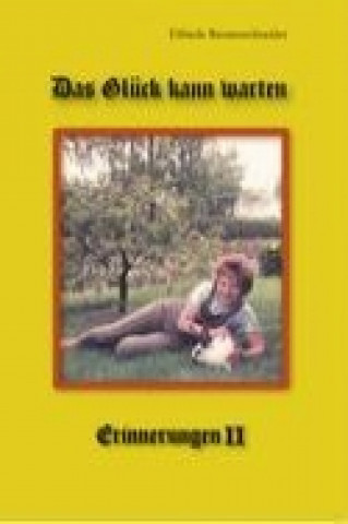 Kniha Das Glück kann warten Elfriede Riemenschneider