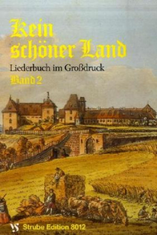 Knjiga Kein schöner Land 2. Großdruck Alfred Schöps