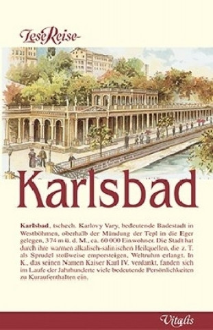 Kniha LeseReise Karlsbad Harald Salfellner