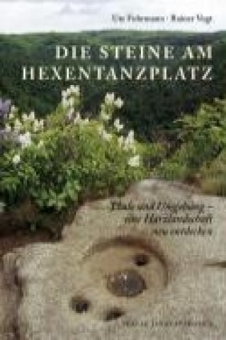 Könyv Die Steine am Hexentanzplatz Ute Fuhrmann