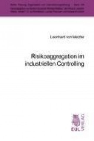 Kniha Risikoaggregation im industriellen Controlling Leonhard von Metzler