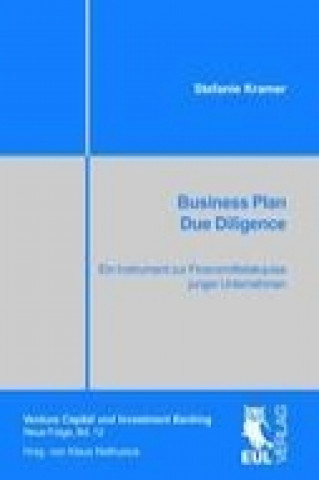 Könyv Business Plan Due Diligence Stefanie Kramer