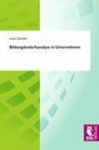 Kniha Bildungsbedarfsanalyse in Unternehmen Lesya Zalenska