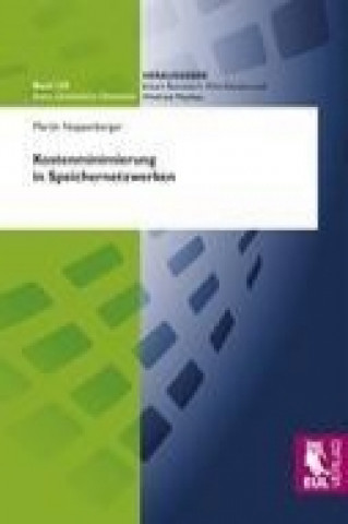 Könyv Kostenminimierung in Speichernetzwerken Martin Noppenberger