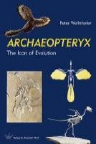 Livre ARCHAEOPTERYX Peter Wellnhofer