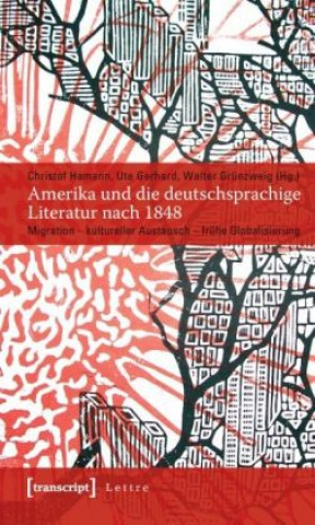 Knjiga Amerika und die deutschsprachige Literatur nach 1848 Christof Hamann