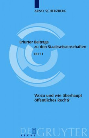 Könyv Wozu und wie uberhaupt noch oeffentliches Recht? Arno Scherzberg