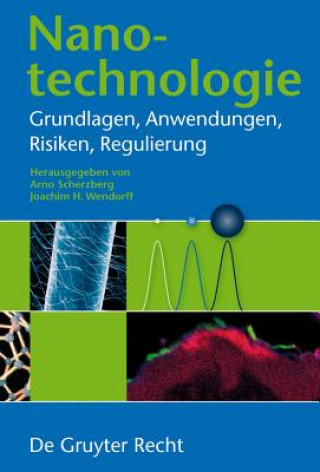 Könyv Nanotechnologie Arno Scherzberg
