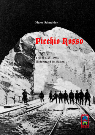 Kniha Picchio Rosso - Widerstand im Süden Harry Schneider