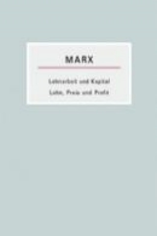 Book Lohnarbeit und Kapital /Lohn, Preis und Profit Karl Marx